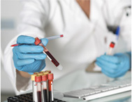 3D CT 정밀 분석 이미지