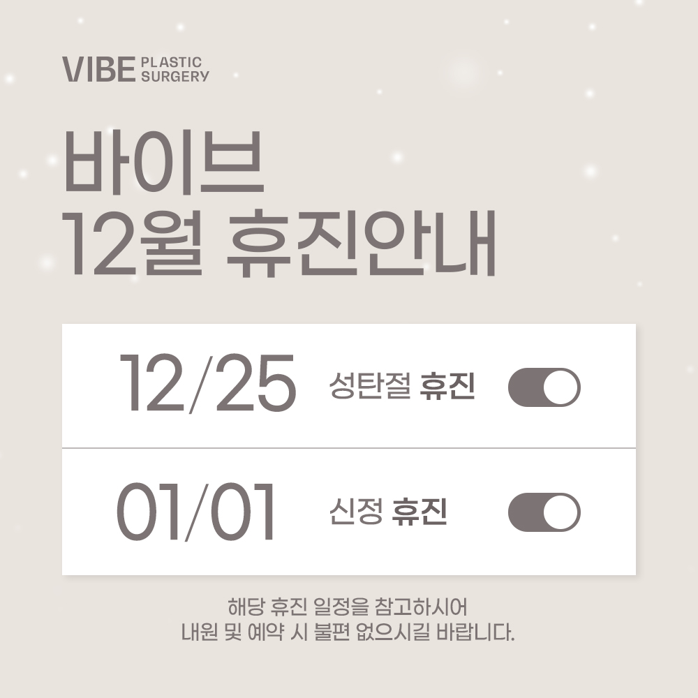 바이브 성형외과 12월 진료 일정