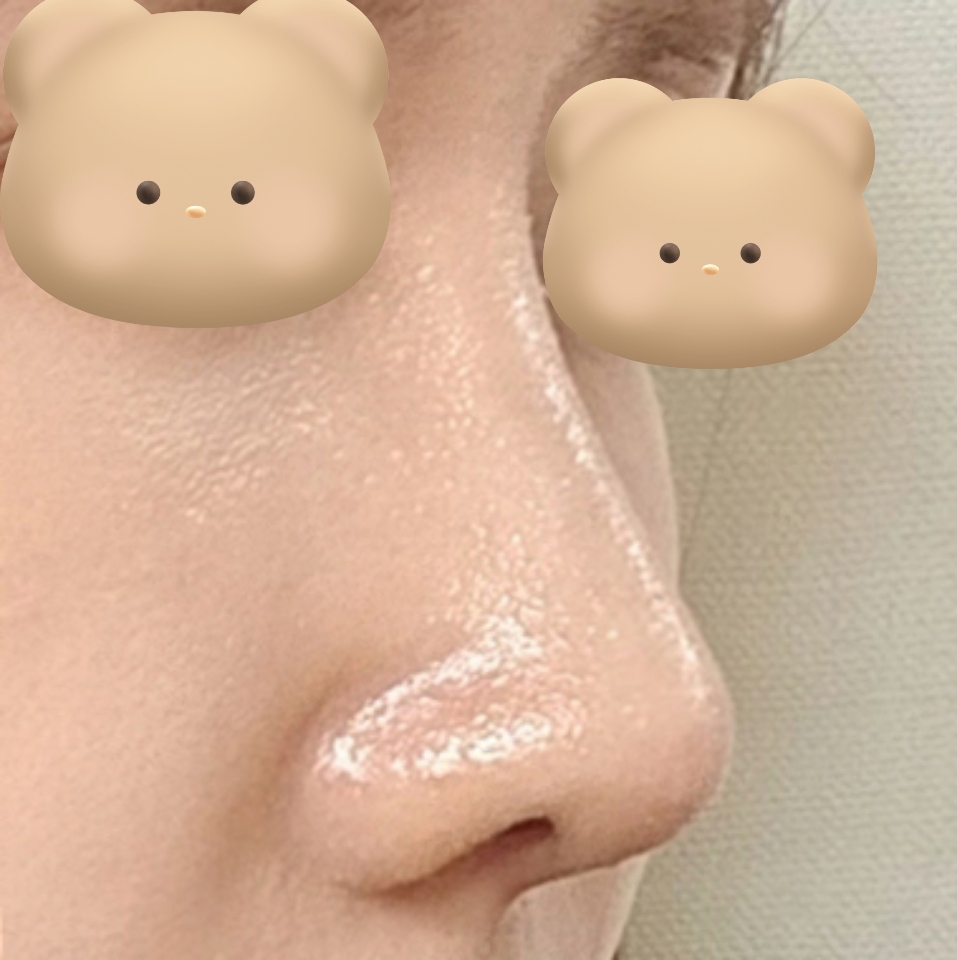 제가 원했던 자려한 코!!